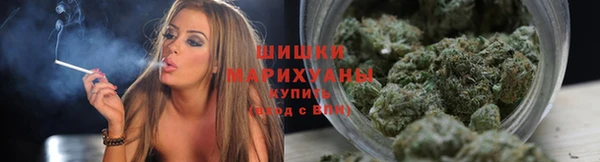 2c-b Краснослободск