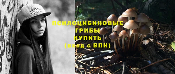 ешки Краснотурьинск