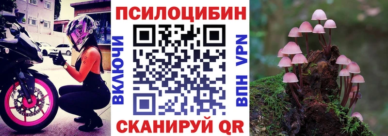 закладки  мега ссылка  Псилоцибиновые грибы мицелий  Мелеуз 