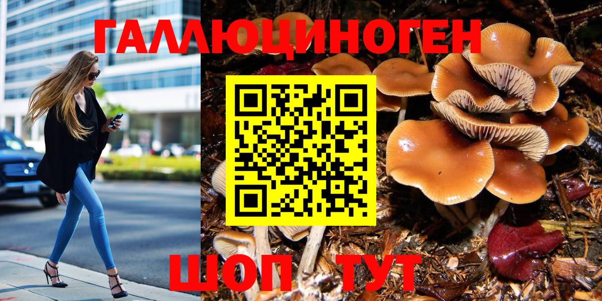 Псилоцибиновые грибы GOLDEN TEACHER Мелеуз